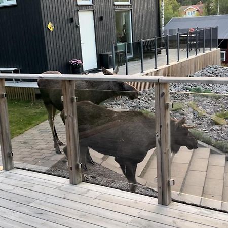 Cabin In The Woods, Close To Lake Maelaren Eskilstuna Exterior foto