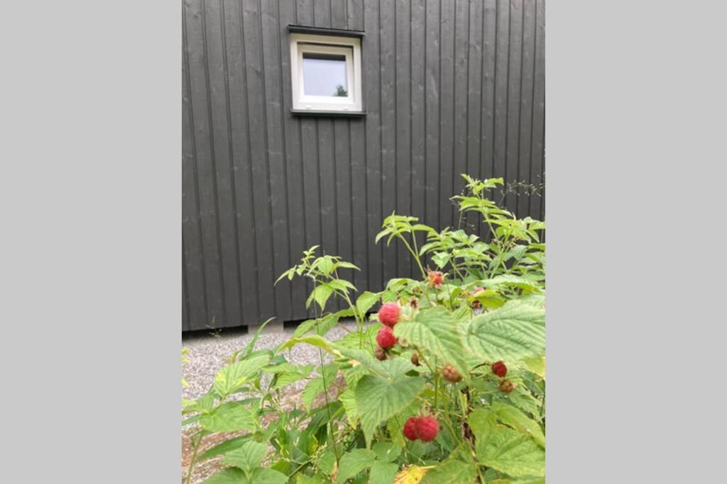 Cabin In The Woods, Close To Lake Maelaren Eskilstuna Exterior foto